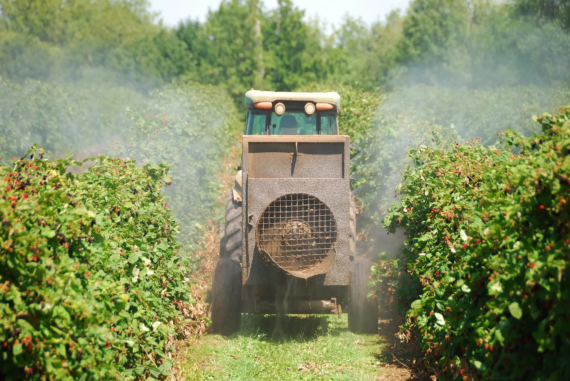 Spraying raspberry fields in farmland in Oregon's Willamette Valley